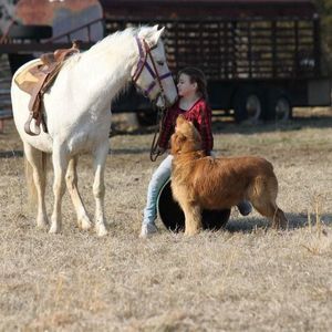 Meet your Posher, Sandy